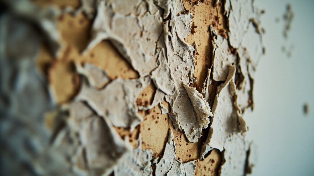 Peeling Paint Wallpaper in Dallas TX 75201