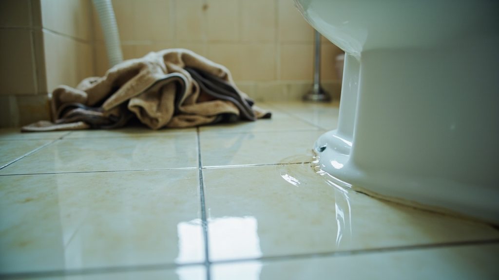 Toilet Overflow Cleanup in Dallas TX 75201